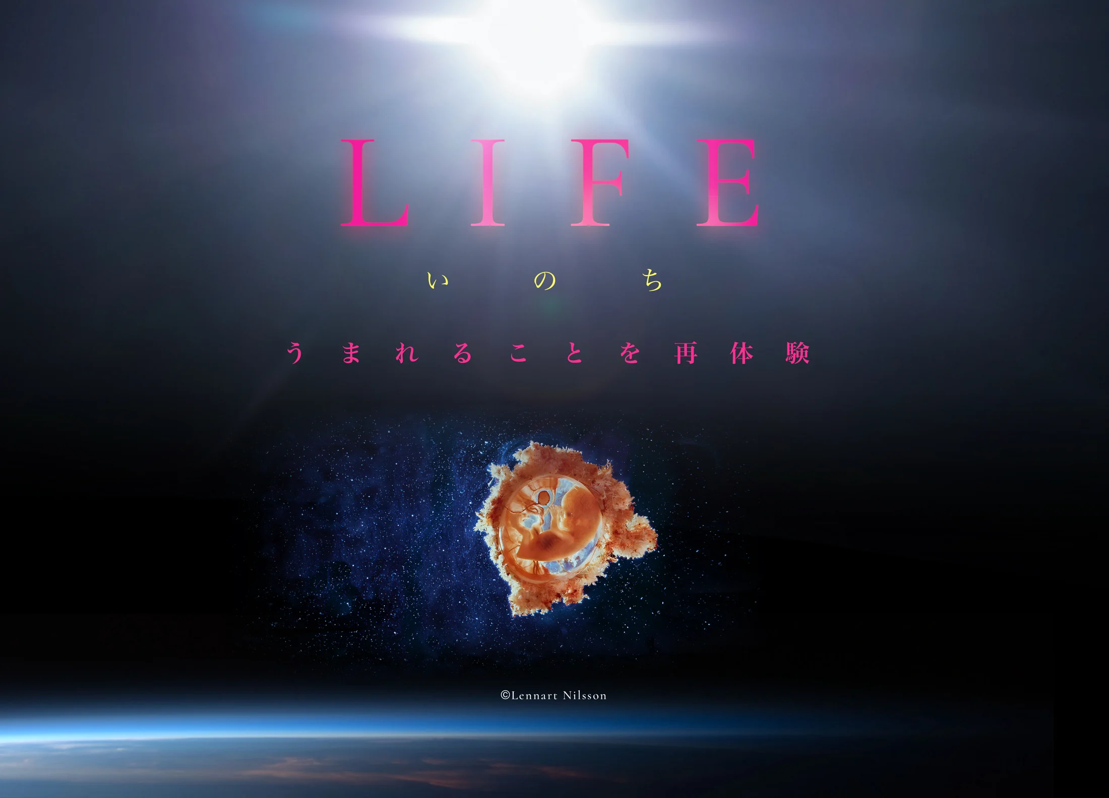 LIFEいのち うまれることを再体験 公式ビジュアル