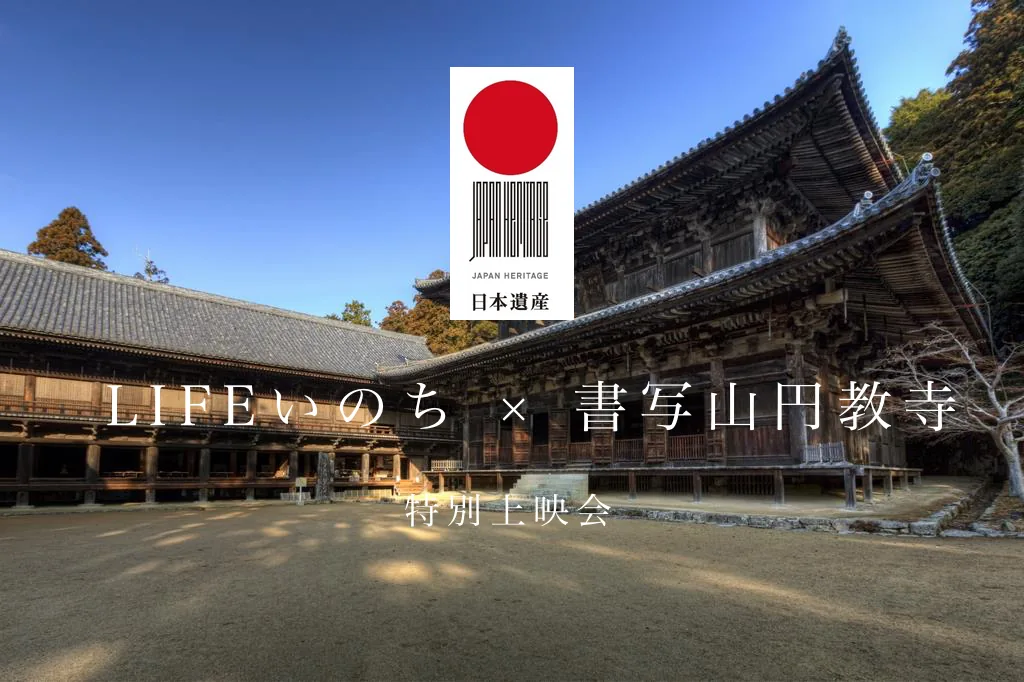 当時の公式記事に掲載された写真