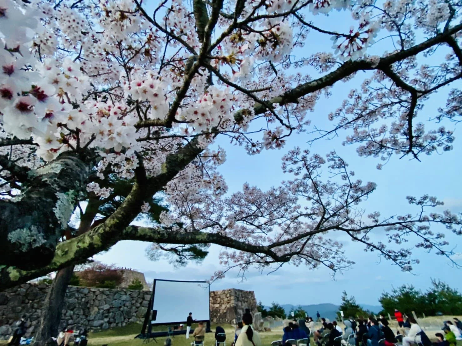 竹田城跡 特別野外上映会の掲載写真