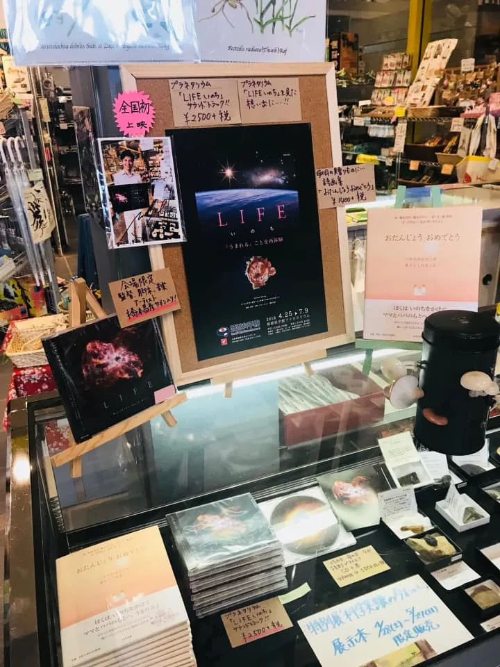当時の公式記事に掲載された写真